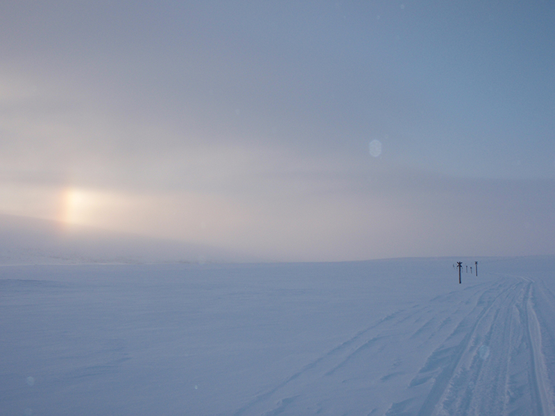 Snowmobile tracks stretching across the high tundra