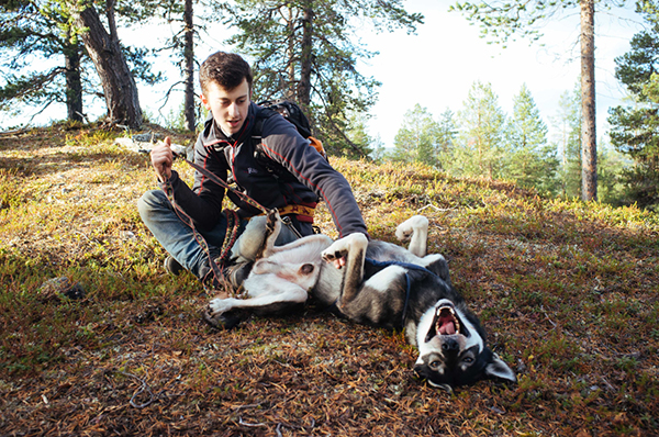 Hiking with a husky on skijoring line near Hetta