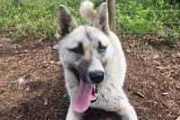 Portrait of Calypso