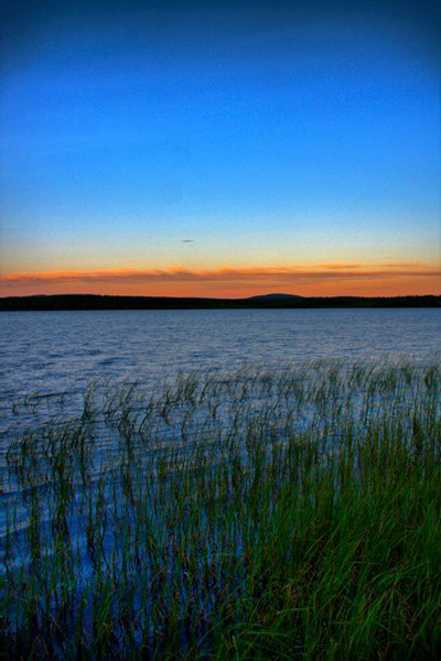 Sunset reflected over reeds on an Arctic lake