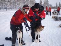 Harnessing a dog team during guide training