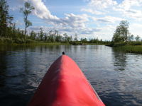 Summer adventure activity at the farm