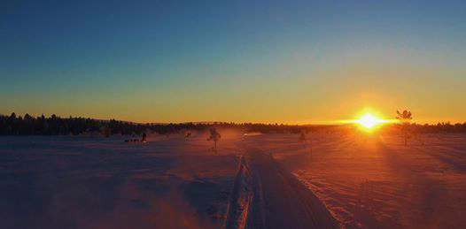 Arctic sunset over the safari landscape