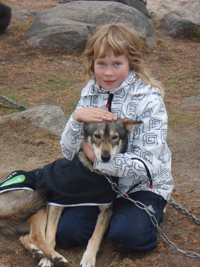 Kids helping with the dogs at Hetta Huskies