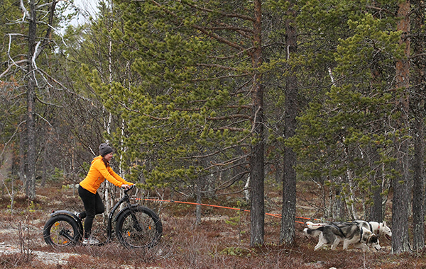 Fatmaxing on the farm trail