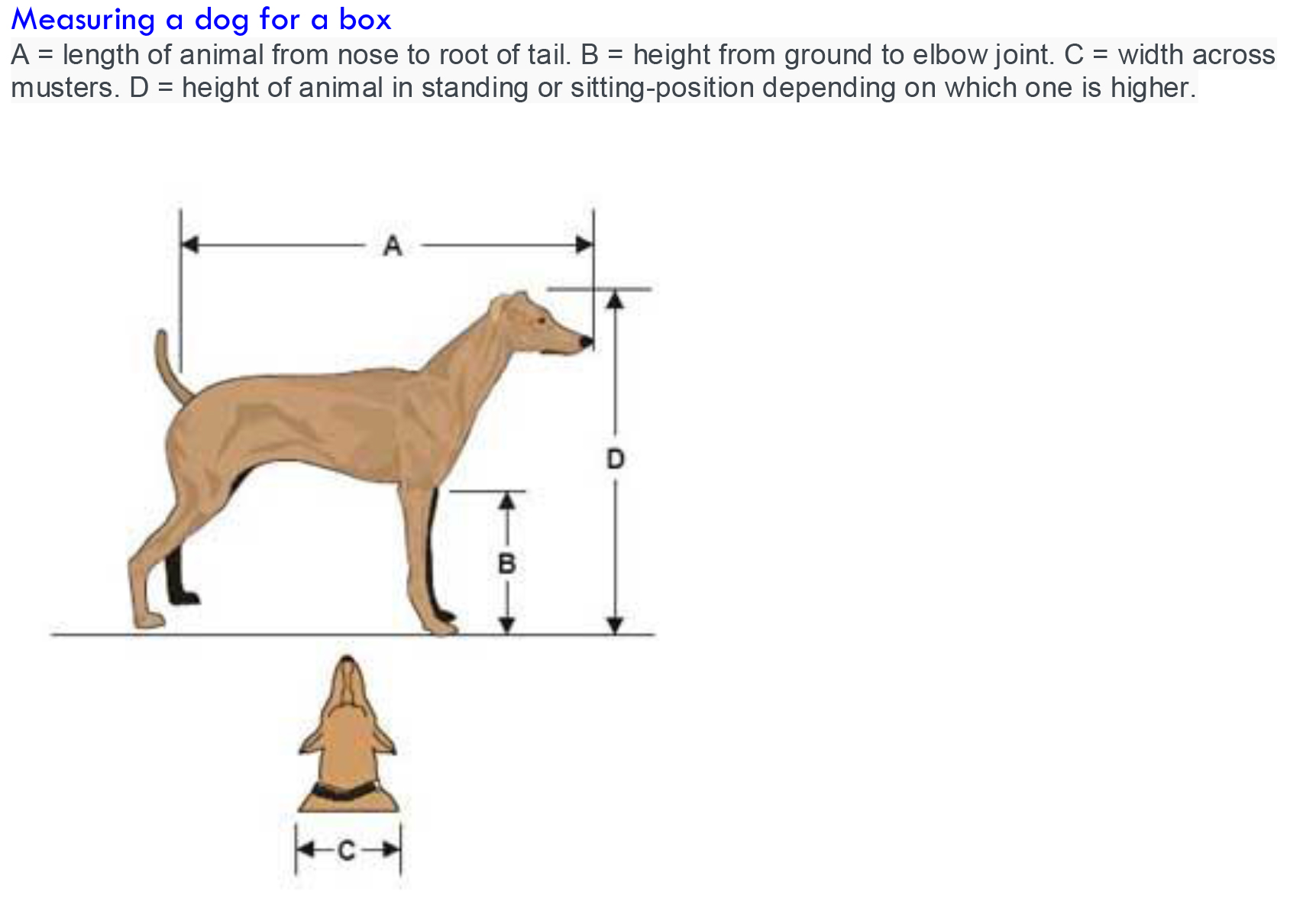Diagram showing how to measure a dog for a travel box