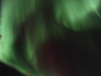 Aurora borealis above the frozen Lapland landscape