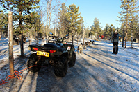 Quad bike summer mushing with the dog team