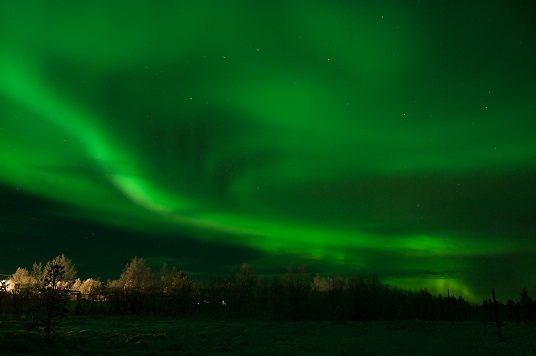 Green aurora borealis swirling over the snow-covered trees and buildings of the Hetta Huskies farm